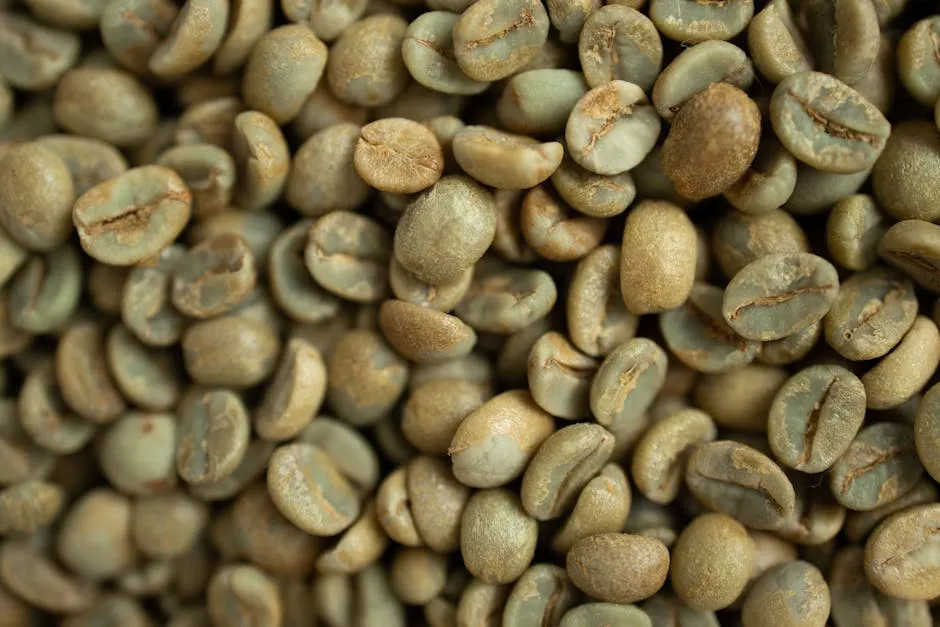 Green Coffee Bean Extract ingredient