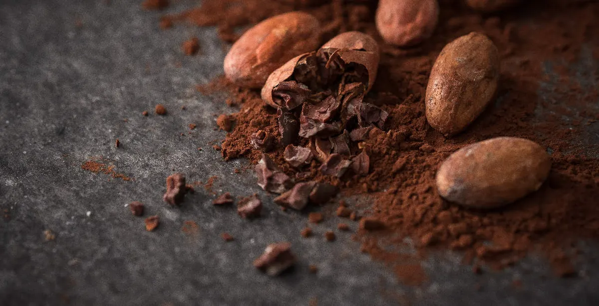 Theobromine ingredient